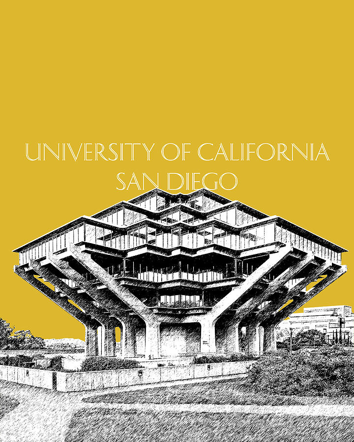 UC San Diego Gold by DB Artist UC San Diego Gold by DB Artist