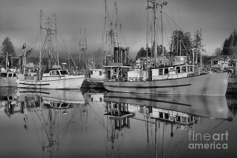 Ucluelet  Harbor Black And White Photograph by Adam Jewell