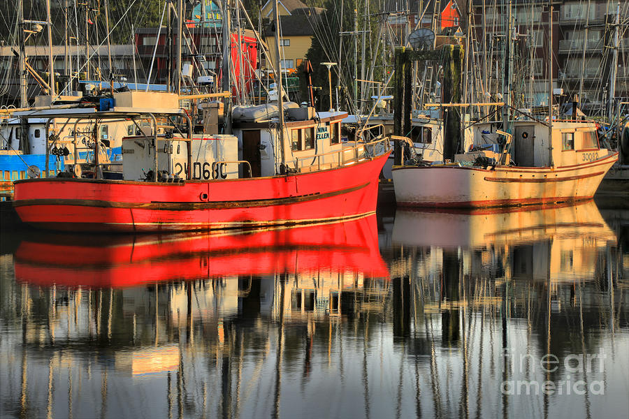 Ucluelet Harbor Reflections Photograph by Adam Jewell