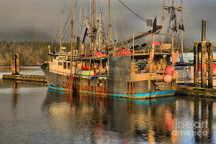 Ucluelet Pacific Titan Photograph by Adam Jewell