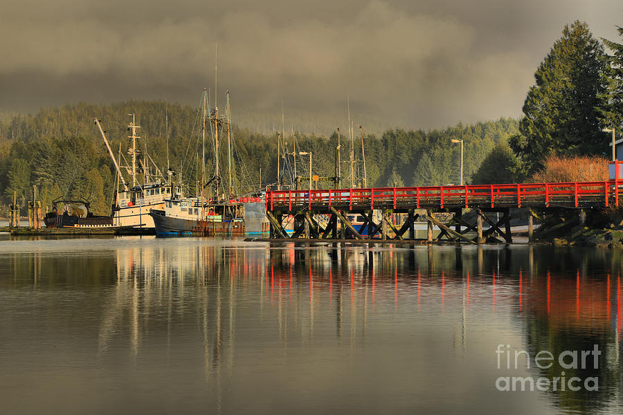 Ucluelet Trawlers Photograph by Adam Jewell