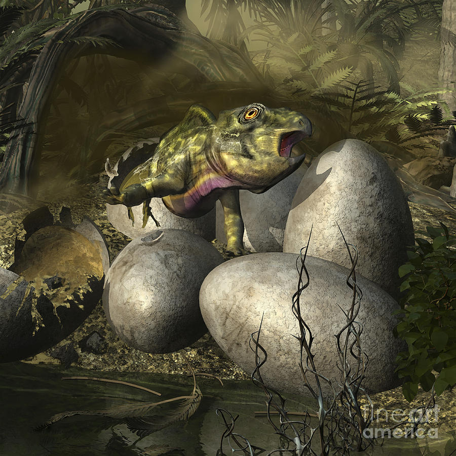 Wildlife Digital Art - Udanoceratops Hatching Out Of An Egg by Kurt Miller