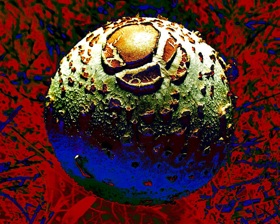 Ugly Orb Digital Art by Larry Beat