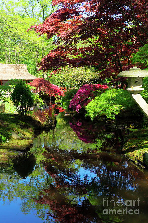Japanese garden in The Hague #1 Photograph by Anastasy Yarmolovich