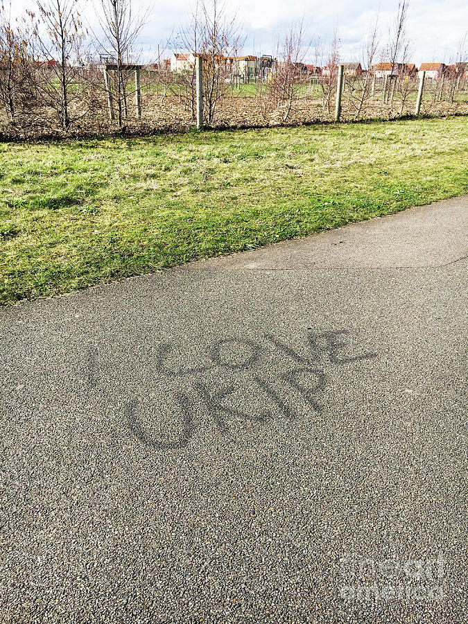 UKIP grafitti Photograph by Tom Gowanlock