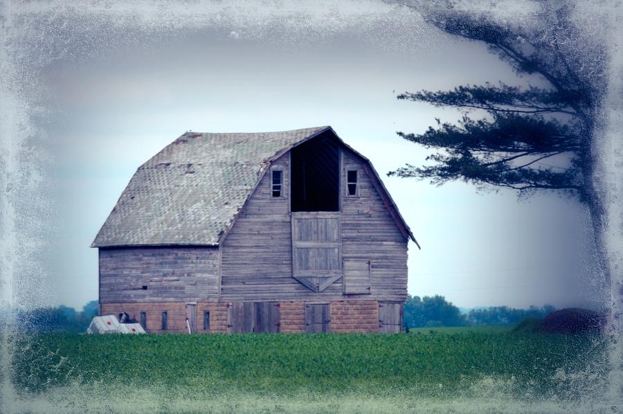 Ulmus Barn II Photograph by Bonfire Photography - Fine Art America