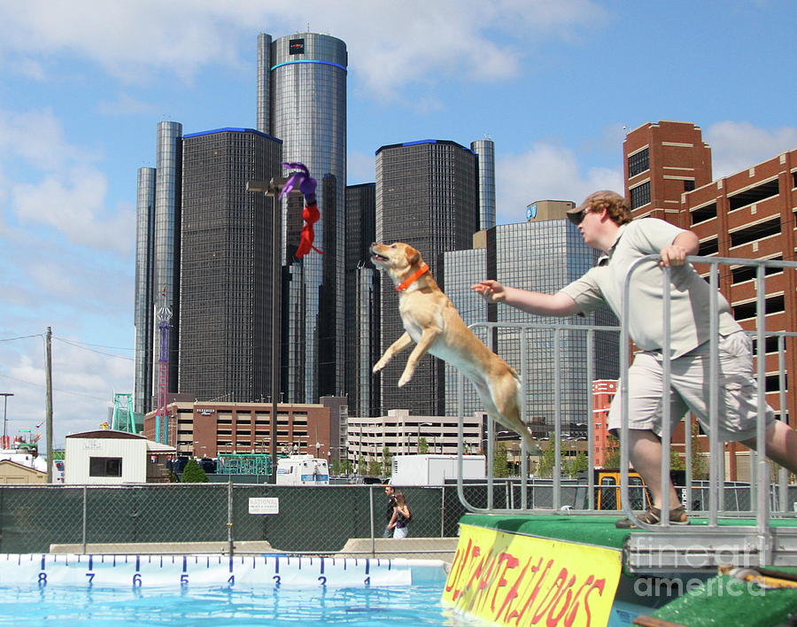Ultimate Air Dogs Detroit Mi Photograph by Robert Pearson