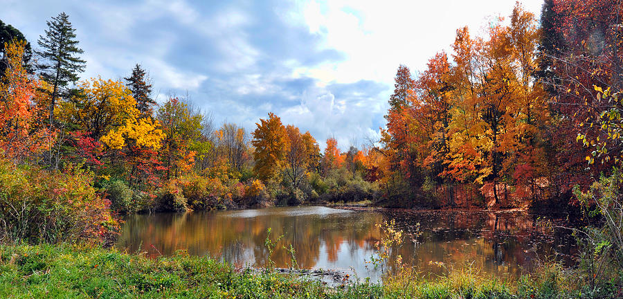 Ultimate Fall Panorama Photograph by Reese Lewis