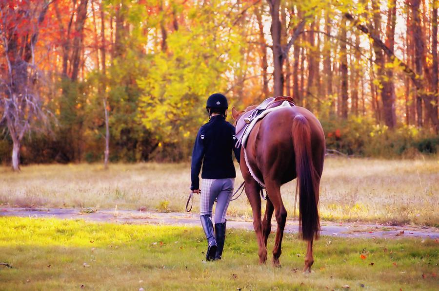 Ultimate Friendship Photograph by Dressage Design