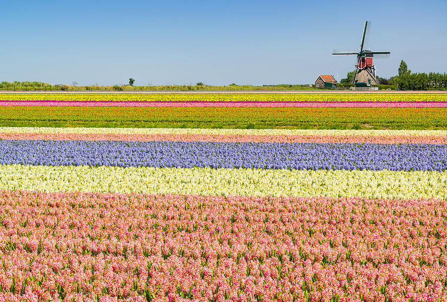 Ultimate Netherlands Photograph by Johan Elzenga