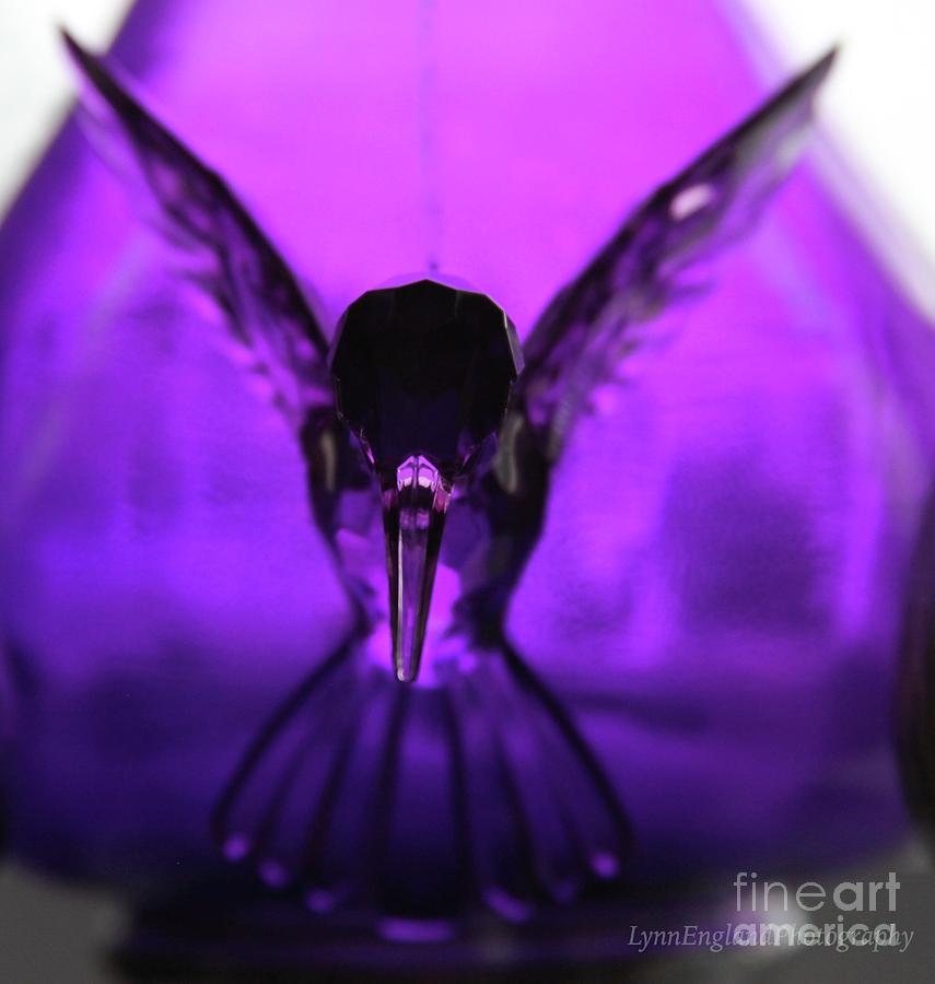 Ultra Violet Hummingbird Flight Photograph