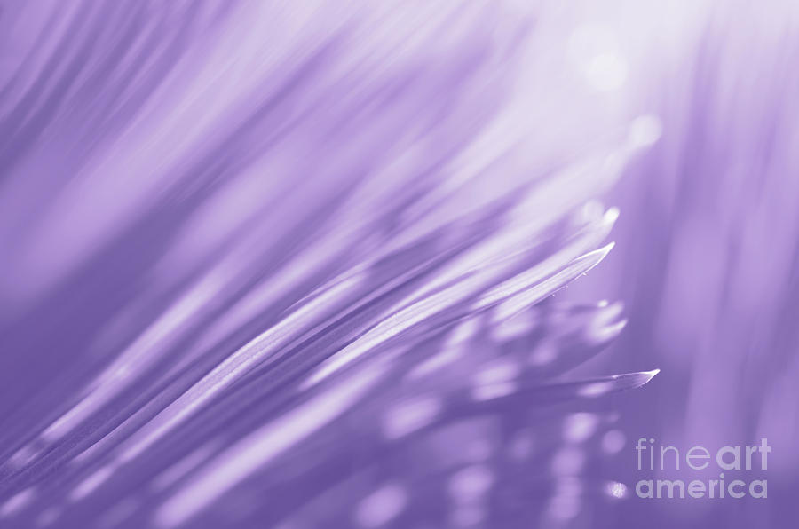 Abstract Pastel - Ultra Violet Palm Tree by Anna Bliokh