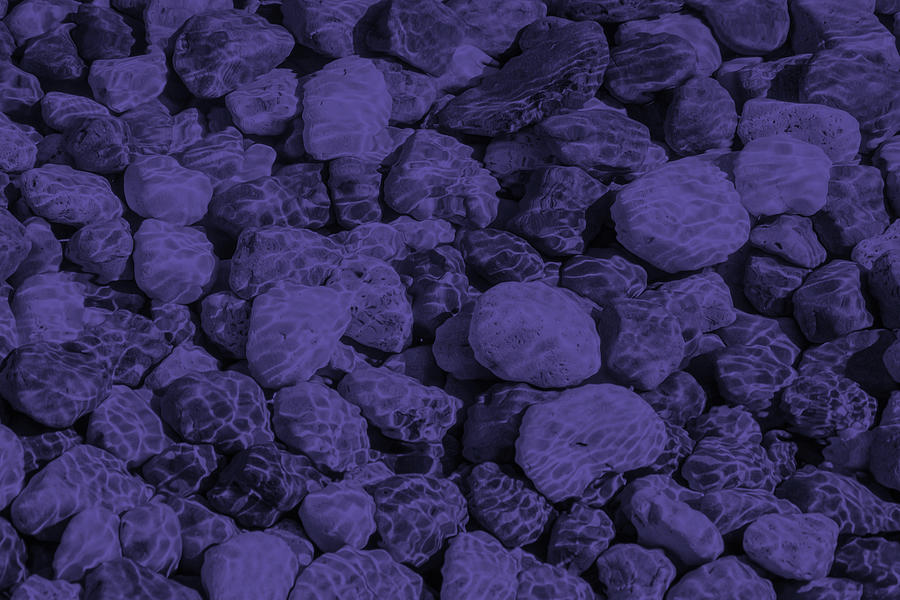 Ultra Violet Underwater Enigma Photograph by Georgia Mizuleva