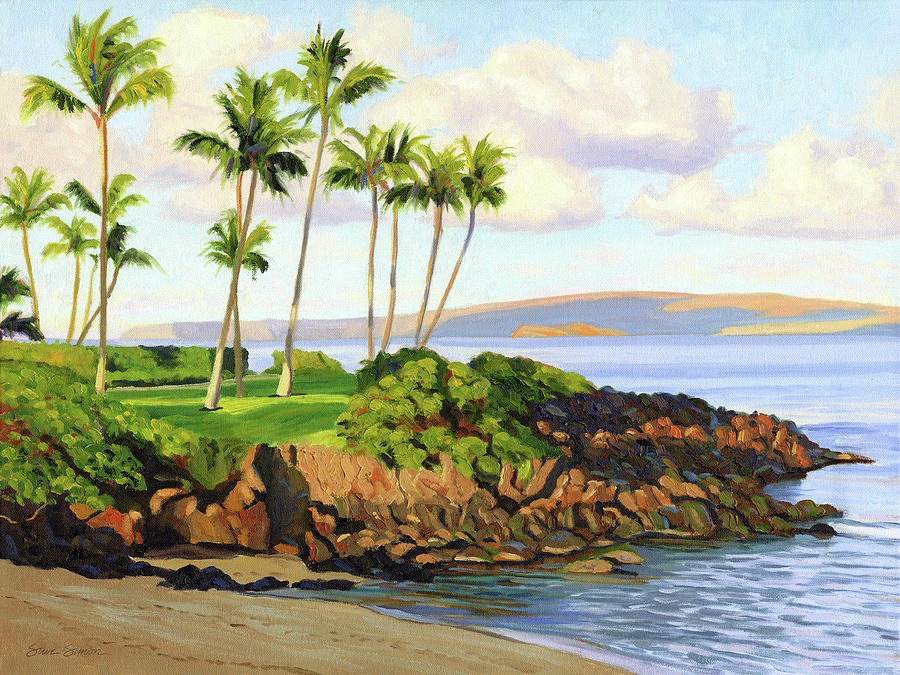 Beach Painting - Ulua Beach by Steve Simon