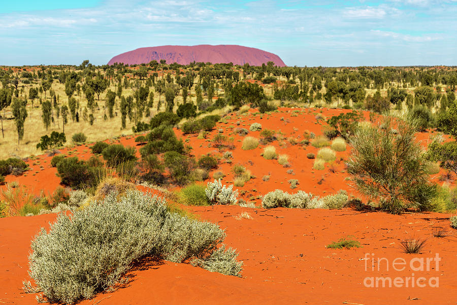 Uluru 01 Photograph by Werner Padarin