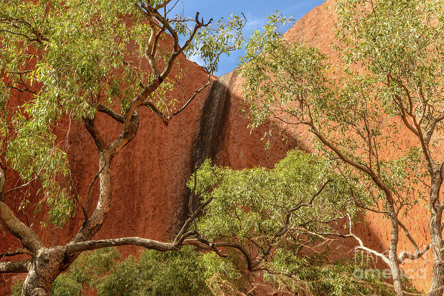 Uluru 02 Photograph by Werner Padarin