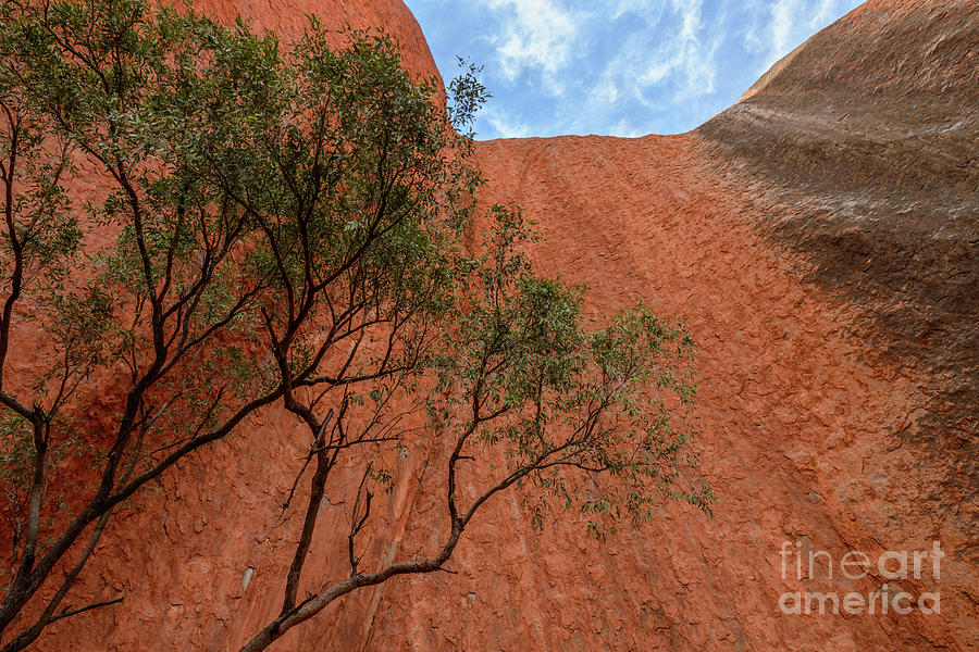 Uluru 09 Photograph by Werner Padarin