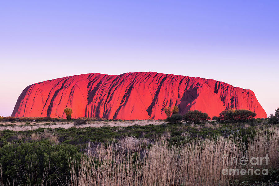 Uluru Ayers Rock Photograph by Andrew Michael