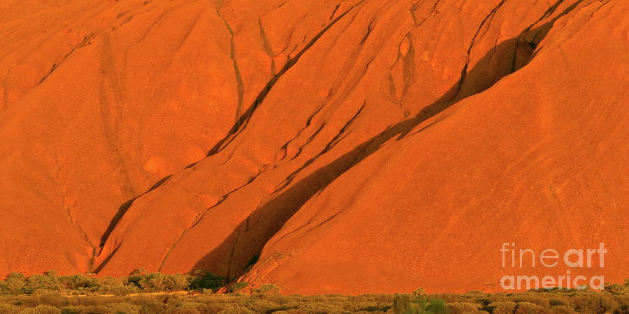 Uluru Close Up Photograph by Tim Richards