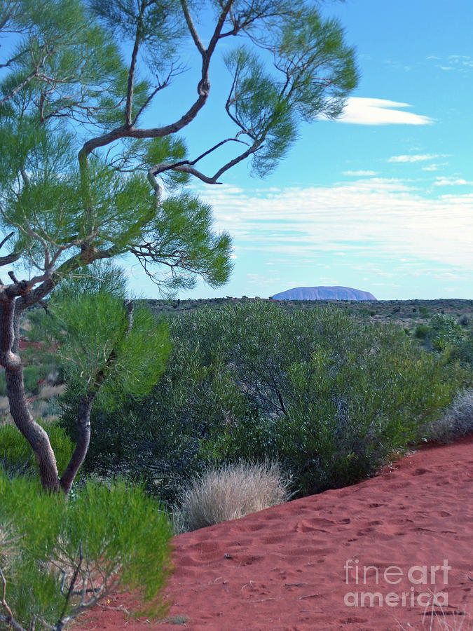 Uluru from Lasseter Highway - Australia Photograph by Phil Banks