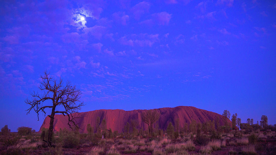 Uluru Moon Australian Outback Photograph by Lawrence S Richardson Jr