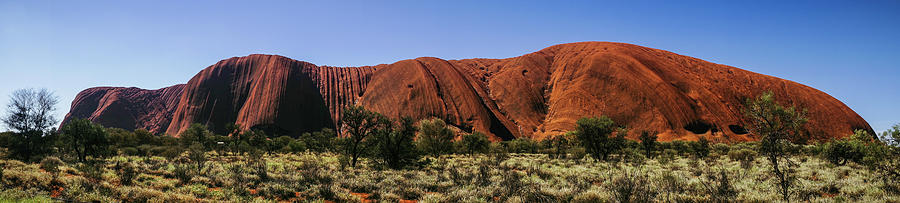 Uluru Panorama Australian Outback Photograph by Lawrence S Richardson Jr