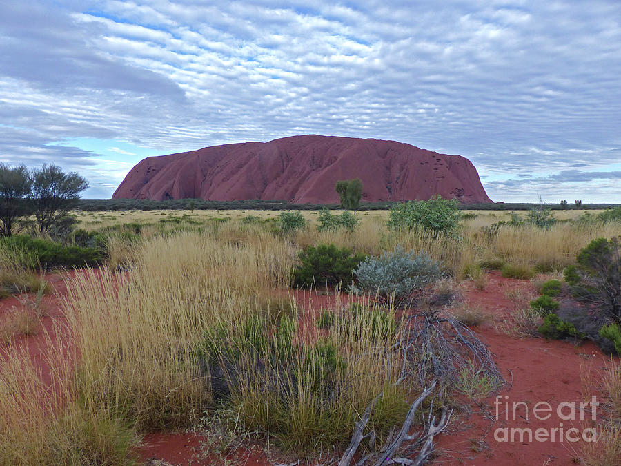 Uluru - Australia Photograph by Phil Banks