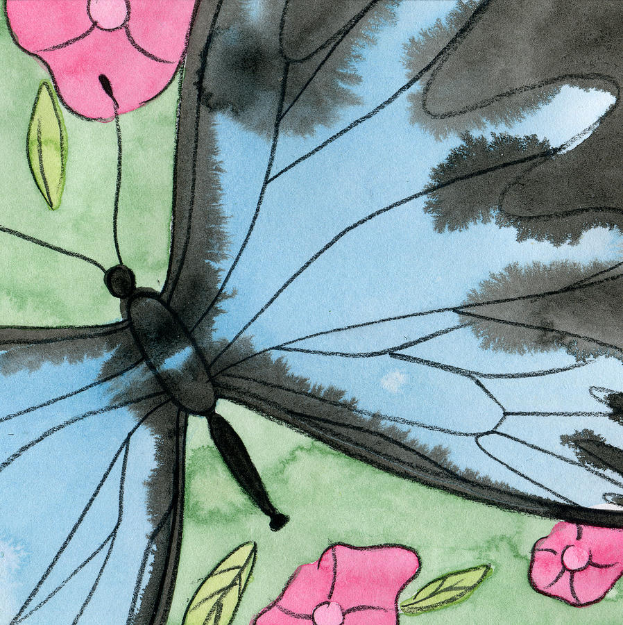 Butterfly Painting - Ulysses Butterfly by Ruth Ferrier