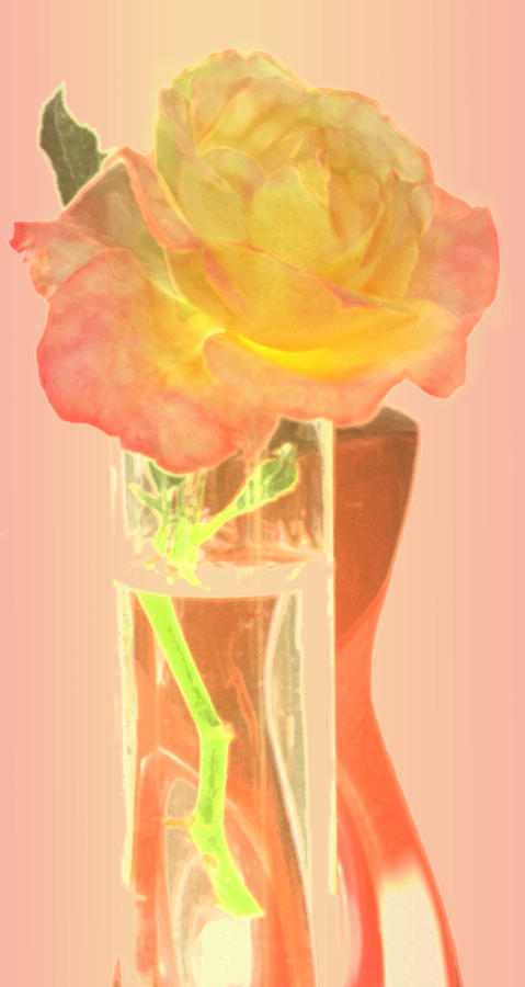 Umbertos Rose Digital Art by Ian  MacDonald