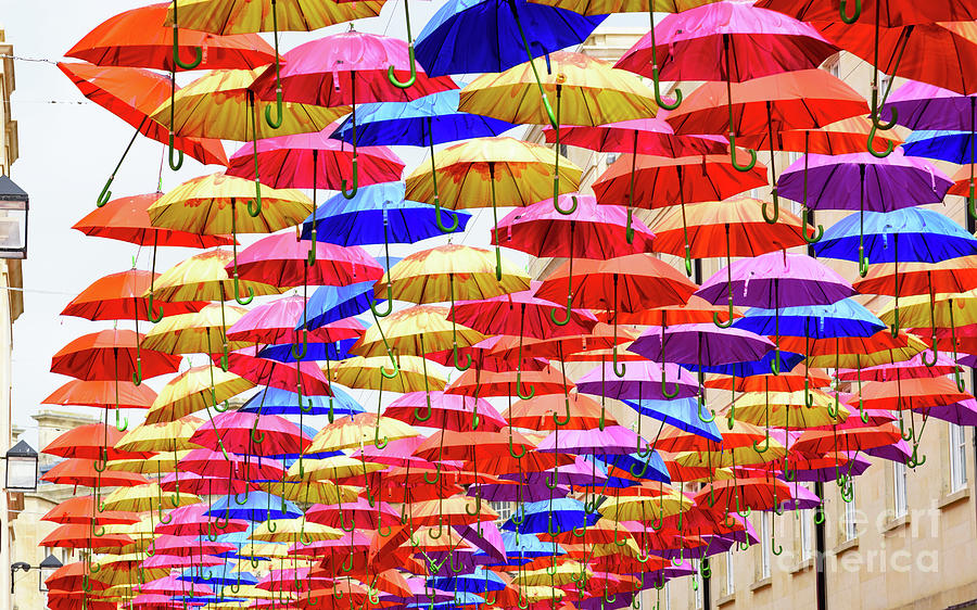 Umbrella art Photograph by Colin Rayner