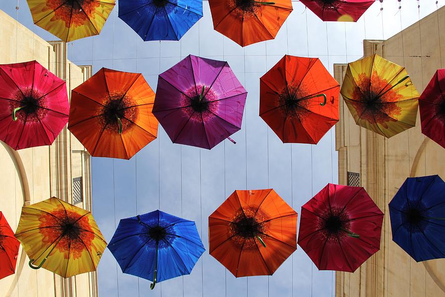 Umbrella Canopy Photograph by Lori Leigh