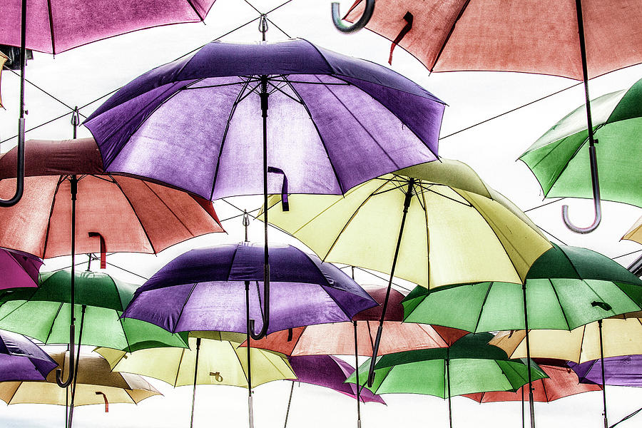 Umbrella Colours Photograph