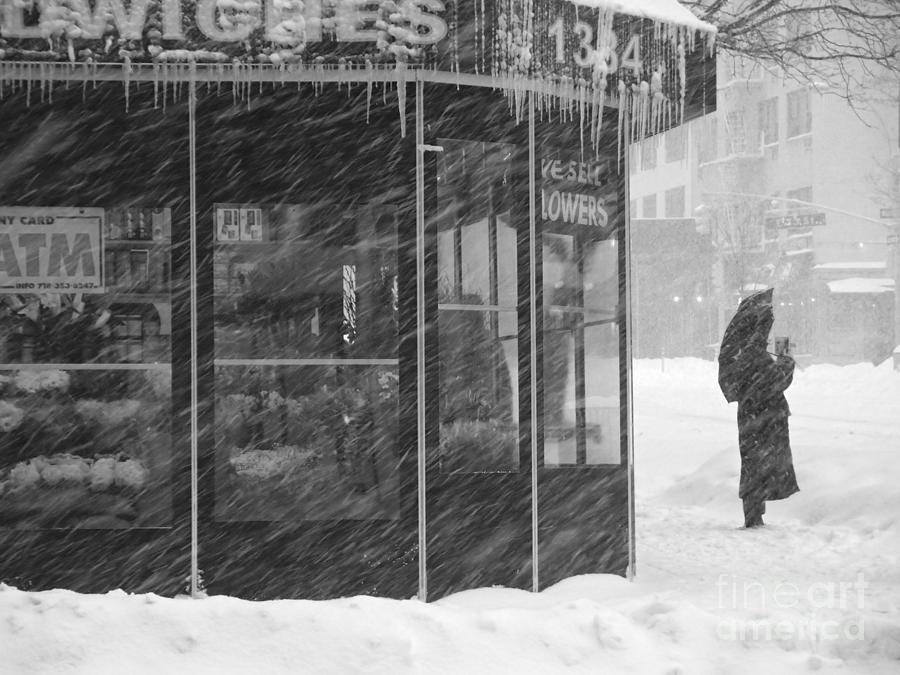 Umbrella Day - Winter in New York Photograph by Miriam Danar