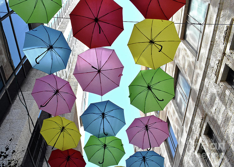 Umbrella Delight Photograph by Lydia Holly