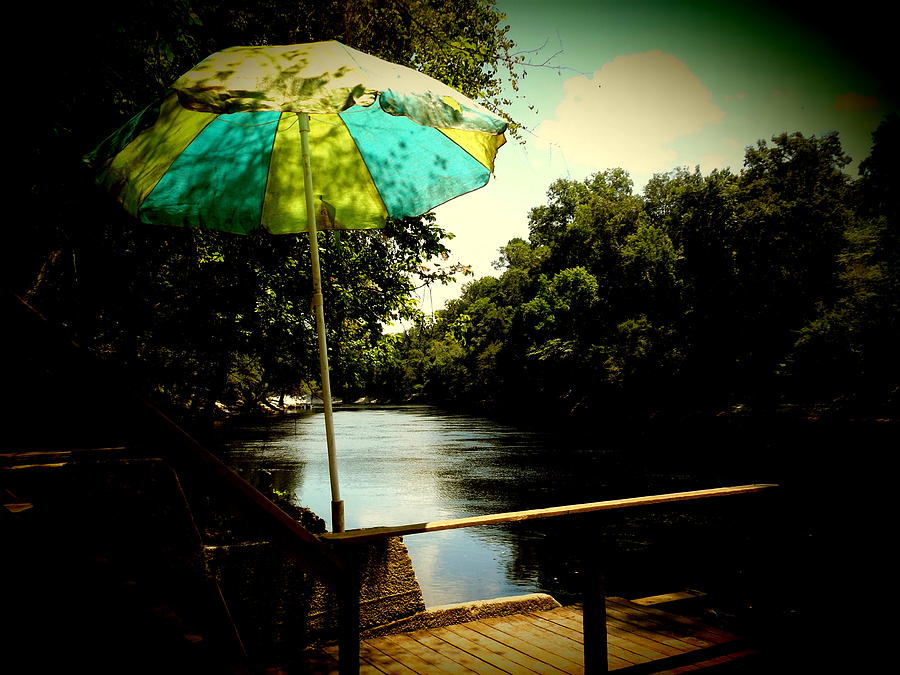 Umbrella Photograph by Julie Pappas