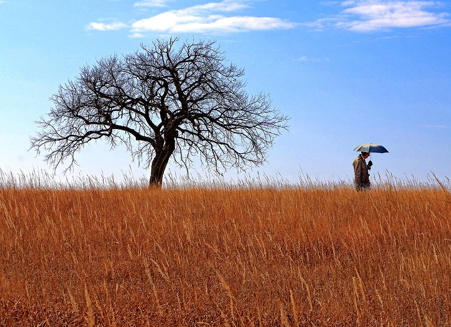 Umbrella Man and Kansas Tree Photograph by Christopher McKenzie