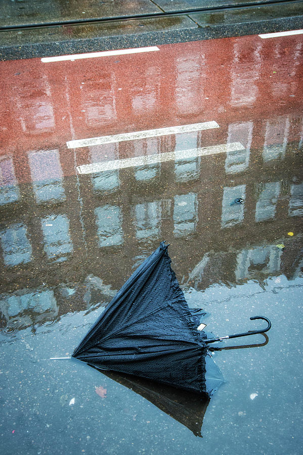 Umbrella on rainy street in Amsterdam Photograph by Matthias Hauser