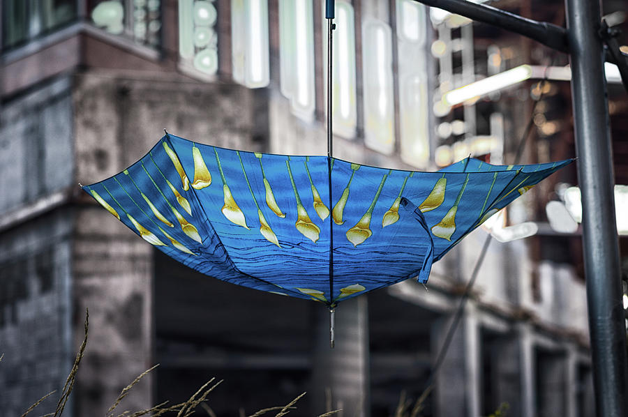 Umbrella Photograph by Scott Wyatt