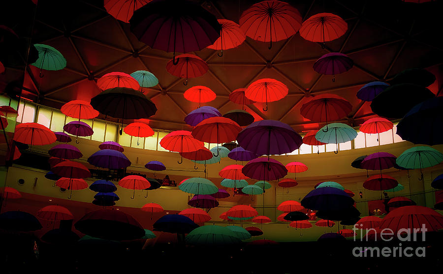 Umbrellas 3 by Camille Pascoe Umbrellas 3 by Camille Pascoe