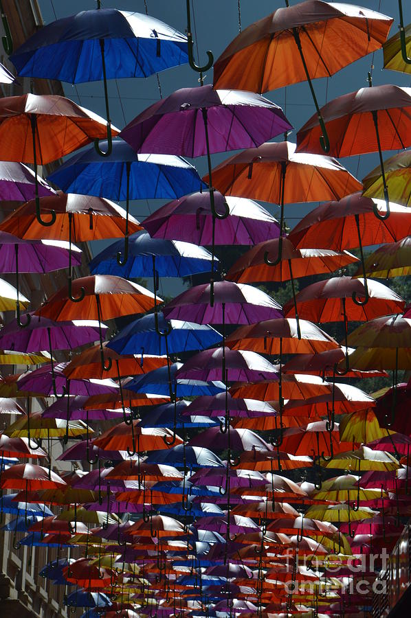 Umbrellas Photograph by Andy Thompson