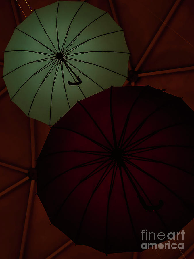 Umbrellas by Camille Pascoe Umbrellas by Camille Pascoe