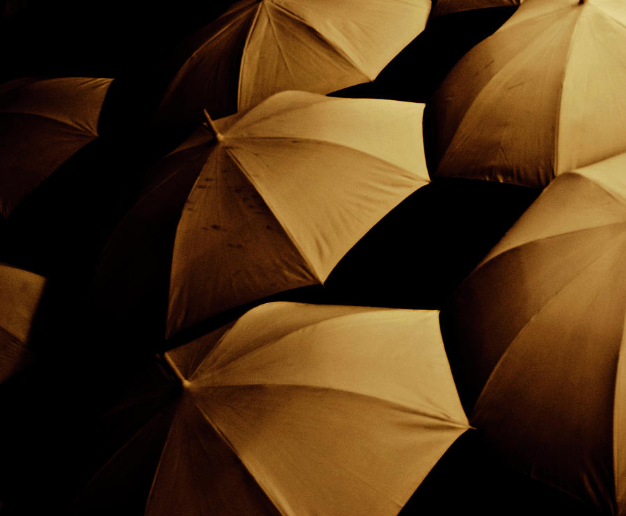 Umbrellas I Photograph by Grebo Gray