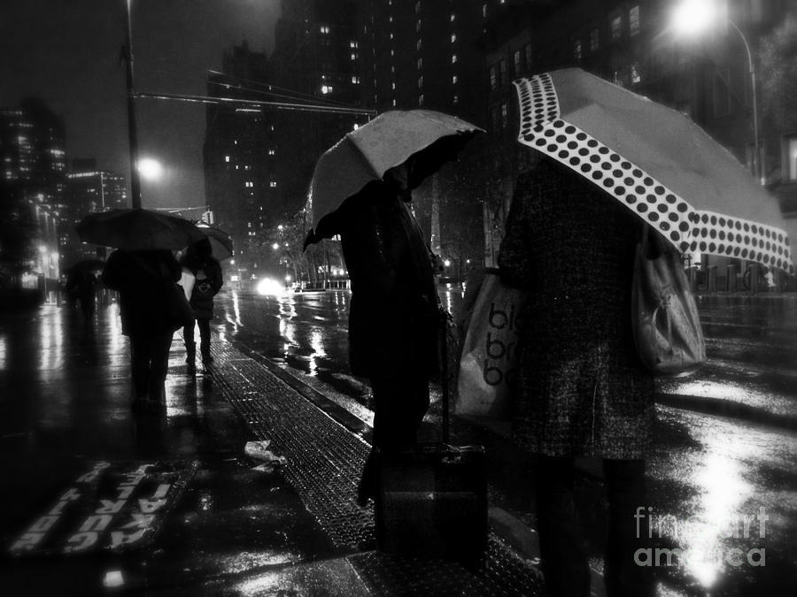 Umbrella Photograph - Umbrellas by Miriam Danar