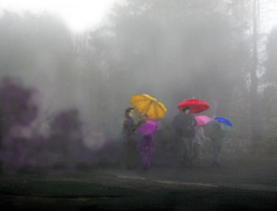 Umbrellas on a foggy morning Digital Art by Uma Krishnamoorthy