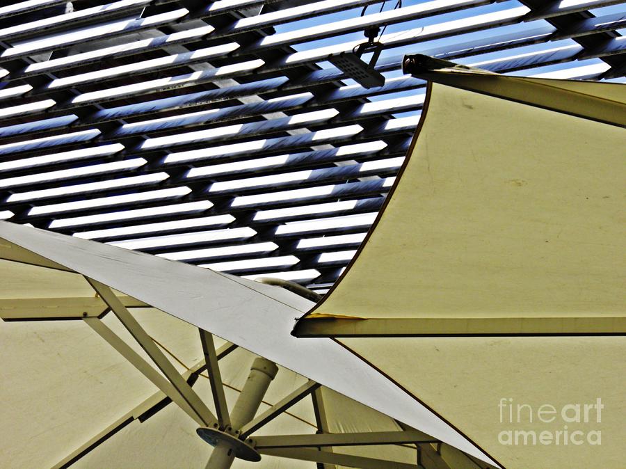 Umbrella Photograph - Umbrellas by Sarah Loft