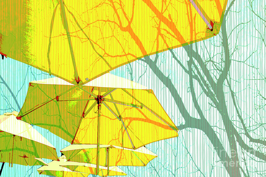 Umbrellas Yellow Photograph by Deb Nakano