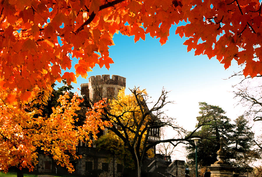 UMKC campus autumn Photograph by Steve Karol