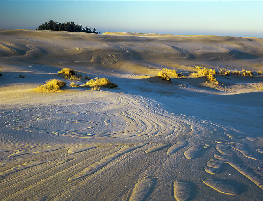 Umpqua Dunes With Frost Photograph by Robert Potts