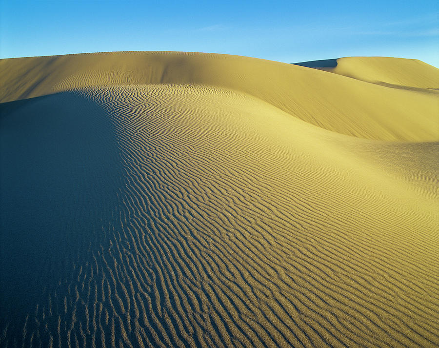 Umpqua High Dunes Photograph by Robert Potts