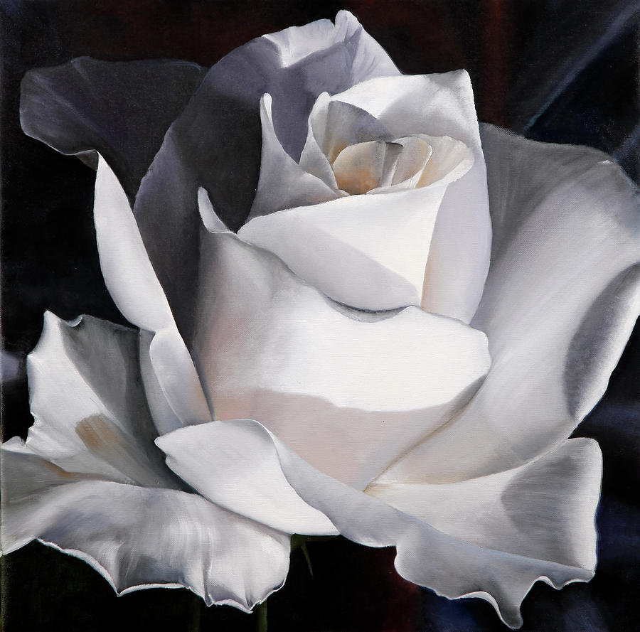 Una Bella Rosa Bianca Painting by Danka Weitzen